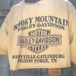 Vintage Harley Davidson shirt.